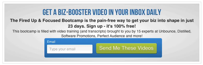 bottom of page opt-in box