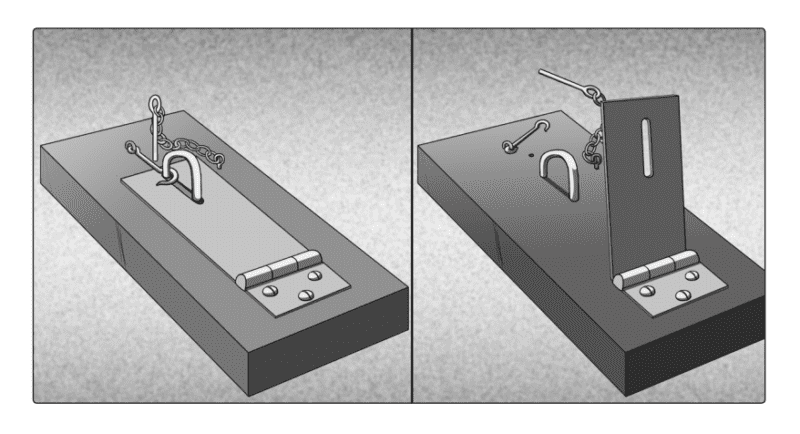 Mouse trap images